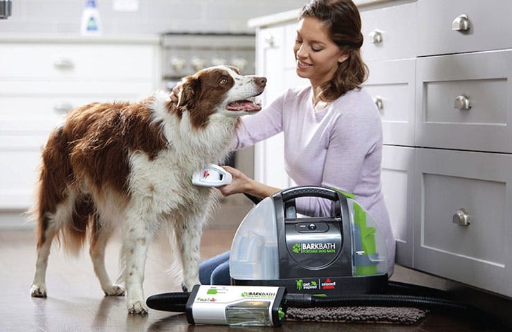 WOMAN CLEANING DOG WITH BARK BATH PRODUCT
